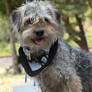 Meet your Posher, Vanessa